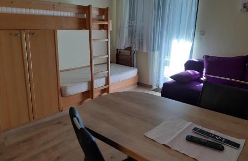 Zrece Apartment | Apartma Rogla Gaber 110