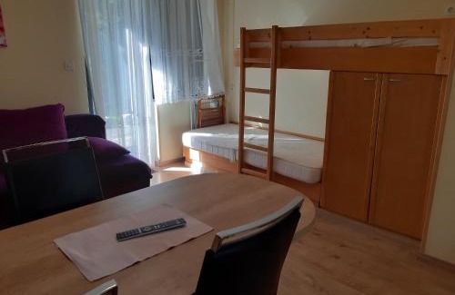 Zrece Apartment | Apartma Rogla Gaber 110