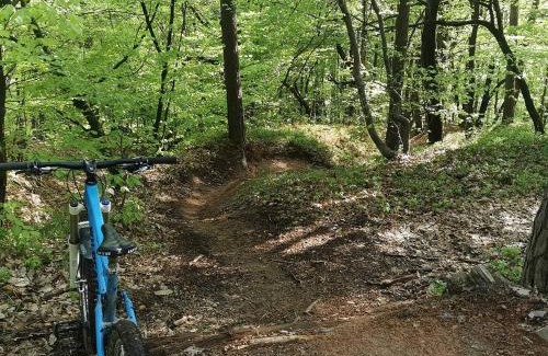 Ambroz pod Krvavcem Apartment | Apartma Smučišče Krvavec