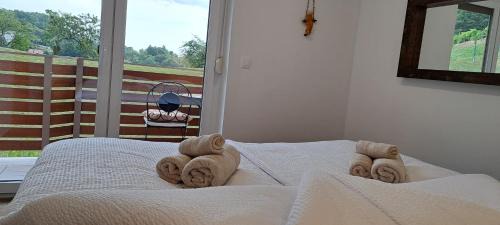 Olimje Apartment | Apartmaji Božiček