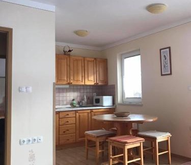 Gozd Martuljek Apartment | Apartmaji Misotič