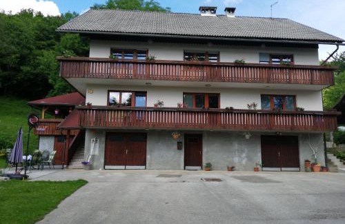 Cerklje na Gorenjskem Apartment | Apartmaji Pika
