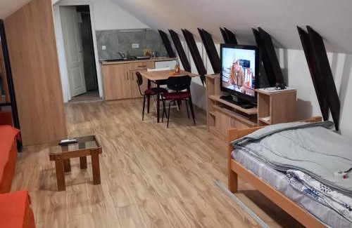 Uzice Apartment | apartman 1 porodicni uzice