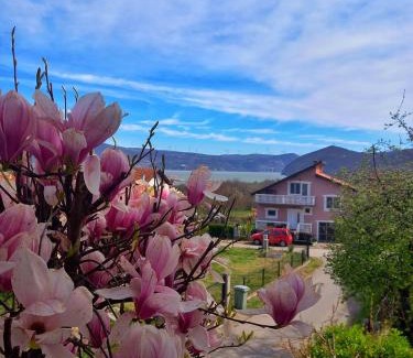 Golubac Apartment | Apartman Aurora