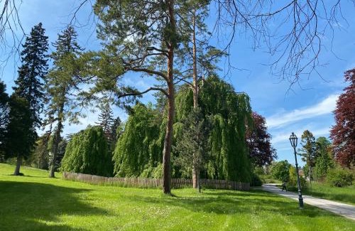 Hainburg an der Donau Apartment | Apartman Fabrik