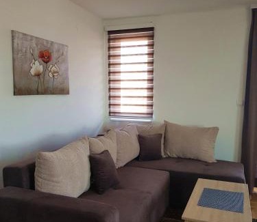 Vrnjacka Banja Apartment | Apartman Kala