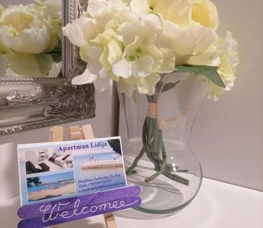 Dinjiska Apartment | Apartman Lidija