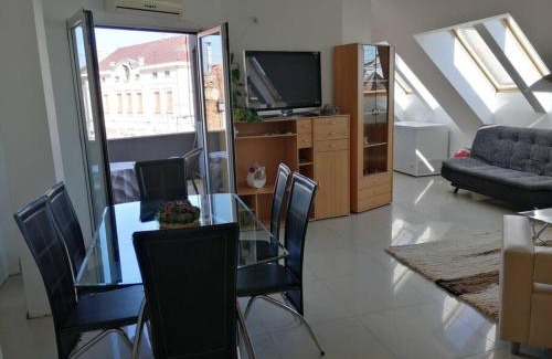 Vrsac Apartment | Apartman Nataša 3