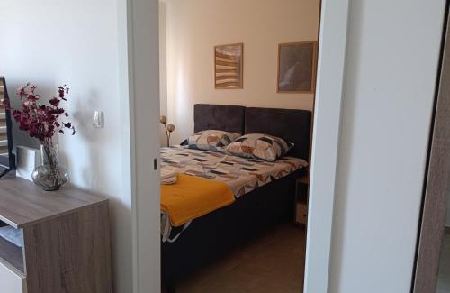 Veliko Gradiste Apartment | Apartman Pogled