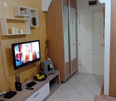 Seoca Apartment | Apartman,Siv, Prijevor