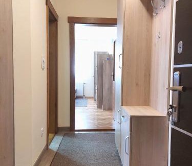 Vrnjacka Banja Apartment | Apartman SN