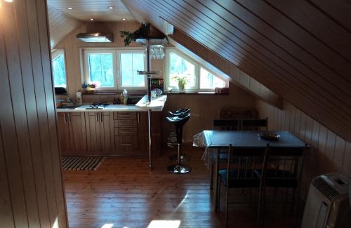 Banska Stiavnica Apartment | Apartman U Holica