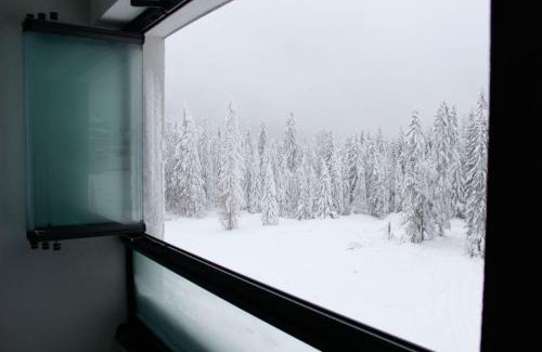 Jahorina Apartment | Apartman Vini