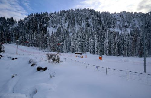 Jahorina Apartment | Apartman Vini