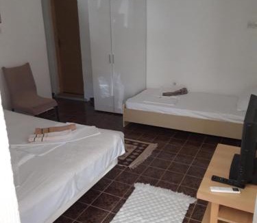 Cetinje Municipality Apartment | Apartmani Djenovići