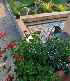 Bjelovar Apartment | Apartmani i Sobe Kočiš