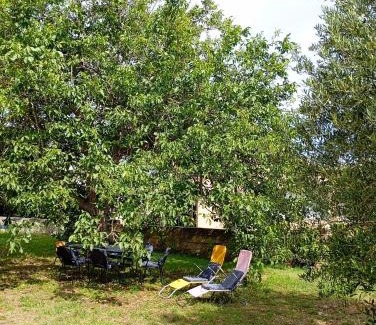 Biograd na Moru Apartment | Apartmani Joja