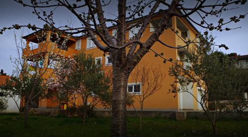 Dobropoljana Apartment | Apartmani Mihaela Dobropoljana 52