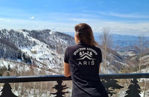 Lisina Apartment | Apartmani TIM Ariš Resort