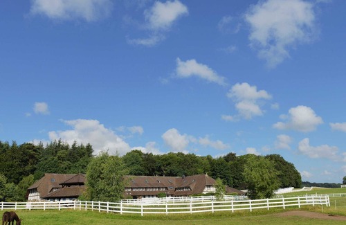 Ralswiek Apartment | Apartment. 2 - Horse Rally Ralswiek