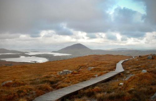 Letterfrack Apartment | Apartment 703 Letterfrack