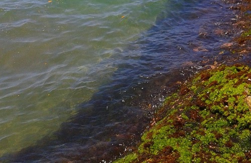 Praia do Pauba Apartment | apartment 8 - chale bamboo - pauba