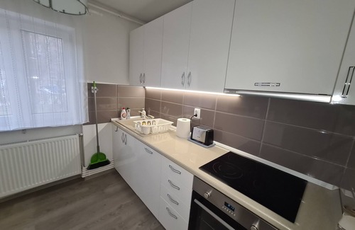Emanoil Gojdu Apartment | Apartment Alina Deva