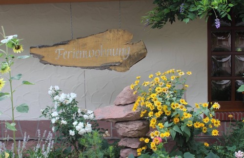 Bruchweiler-Baerenbach Apartment | Apartment/Fewo 1 "Jüngstberg" - House Eybergblick