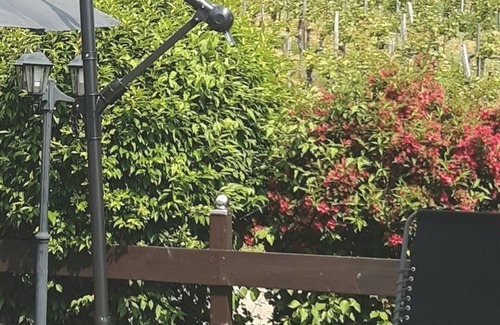 Schweigen-Rechtenbach Apartment | Apartments am Sonnenberg