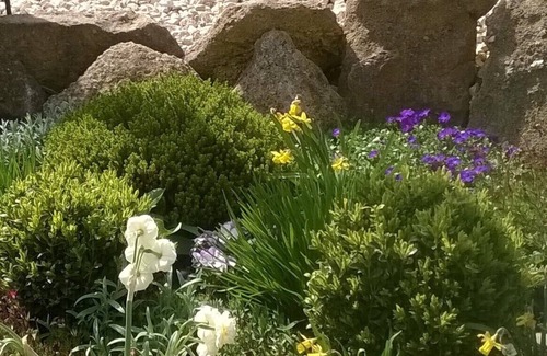 Schweigen-Rechtenbach Apartment | Apartments am Sonnenberg