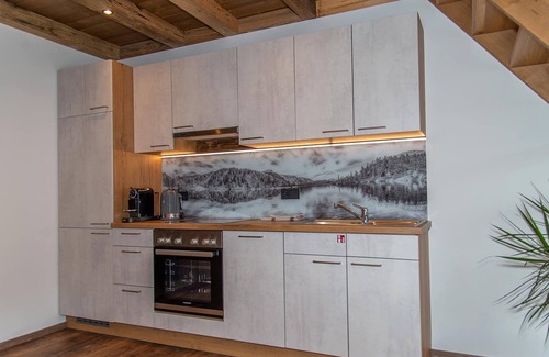 Bad Gastein Cabin | Apartment ENERGIE - Gasthof Appartements Gamskar