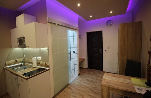 Wertheim Apartment | Apartment-Ensuite with Shower-Einzelzimmer