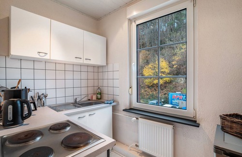 Bad Bergzabern Apartment | Apartment 'Ferienwohnung Luise' with Private Terrace, Balcony and Wi-Fi