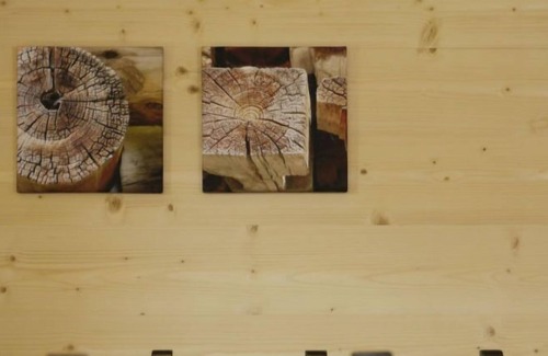 Tenna Apartment | Apartment Ferienwohnung BioBuchli in Tenna - 4 persons, 2 bedrooms