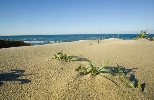 Eden Beach Apartment | Apartment FeWo da Erika by Interhome