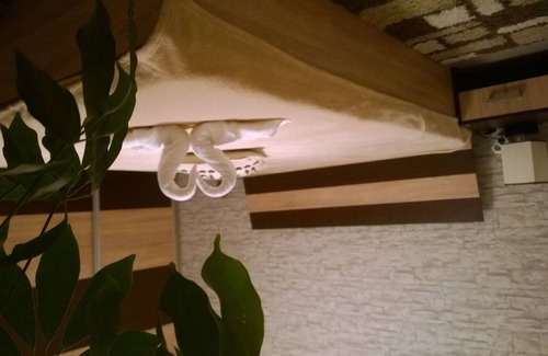 Sofia Apartment | Apartment Fiona - Near the airport