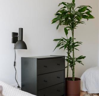 Lillekula Apartment | Apartment for friends & families