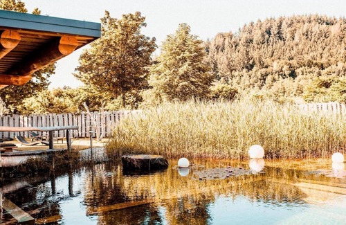 Seelbach Apartment | Apartment for up to 4 people - Ferienparadies Schwarzwälder Hof