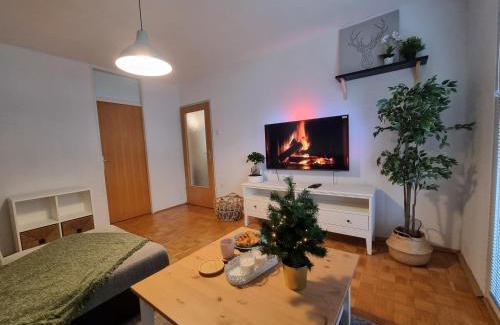 Zrece Apartment | Apartment Gulek