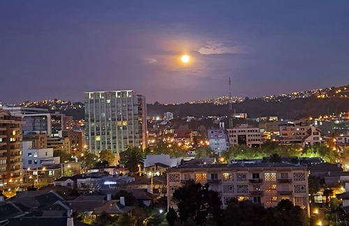 Vina del Mar Apartment | Apartment in front of El Sol beach