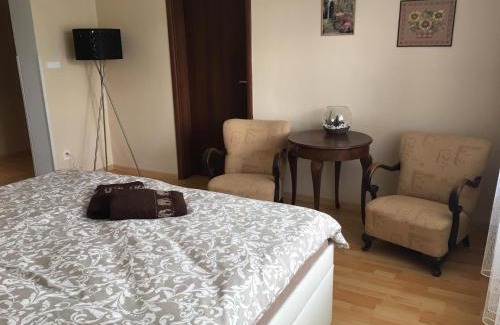 Drzovice Apartment | Apartment In The Garden