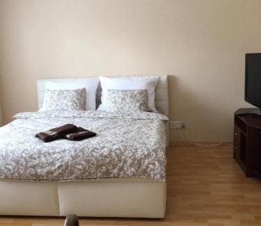 Drzovice Apartment | Apartment In The Garden
