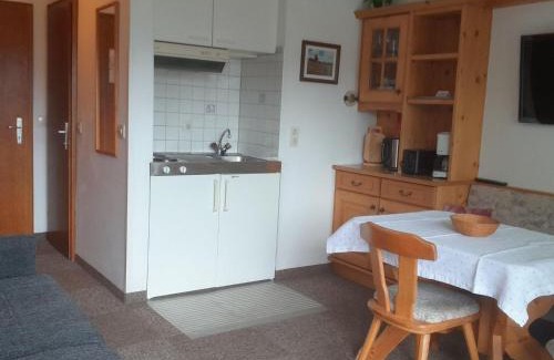 Auffach Apartment | Apartment in Wildschönau by Schatzberg Lift