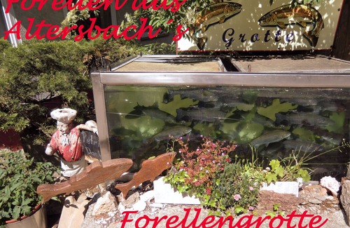 Waldkirch Apartment | Apartment 'Kandelbleibe' with Balcony and Wi-Fi