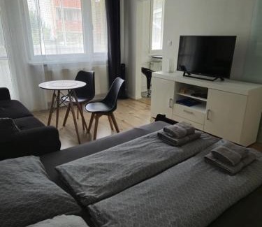Dubravka Apartment | Apartment Klimka with balcony, free wifi and free parking