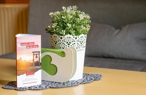 Eben im Pongau Apartment | Apartment Lehengut