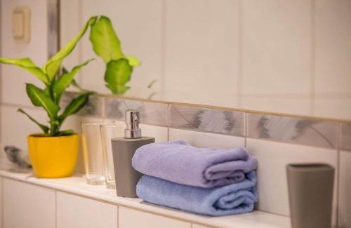 Slavonski Brod Apartment | Apartment Marina