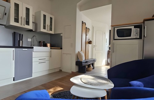 Striesen Apartment | Apartment 'Nahe Blauen Wunder 2' with Shared Terrace, Shared Garden and Wi-Fi