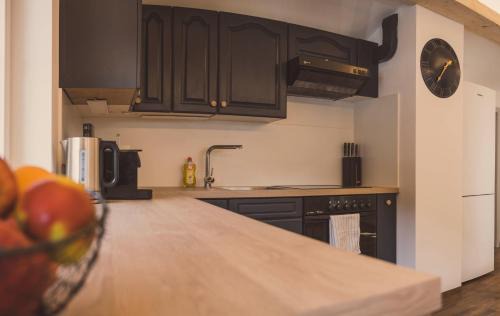 Annaberg im Lammertal Apartment | Apartment NinetyFour