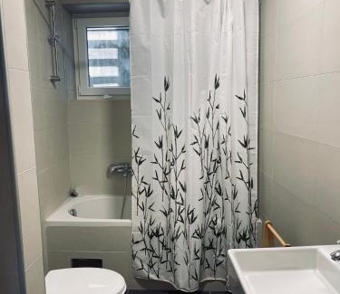 Herceg Novi Municipality Villa | Apartment Olivia